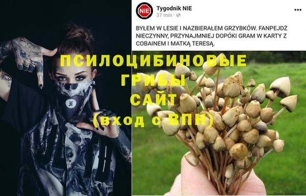 стафф Беломорск