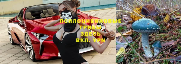 таблы Белоозёрский